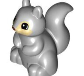 SQUIRREL NO 2″” (6095870) used