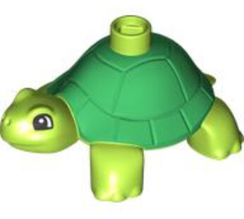 TURTLE, NO. 3 (6172886) used