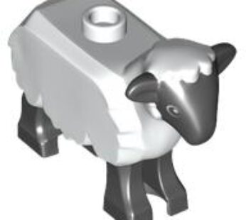 SHEEP, NO. 5 (6342625) used